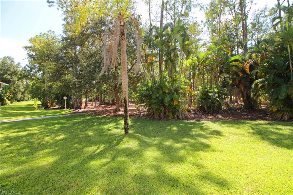 3471 County Barn Road, Unit F103 Naples, FL 34112 - Photo 19 of 27 a view of swimming pool with a tree