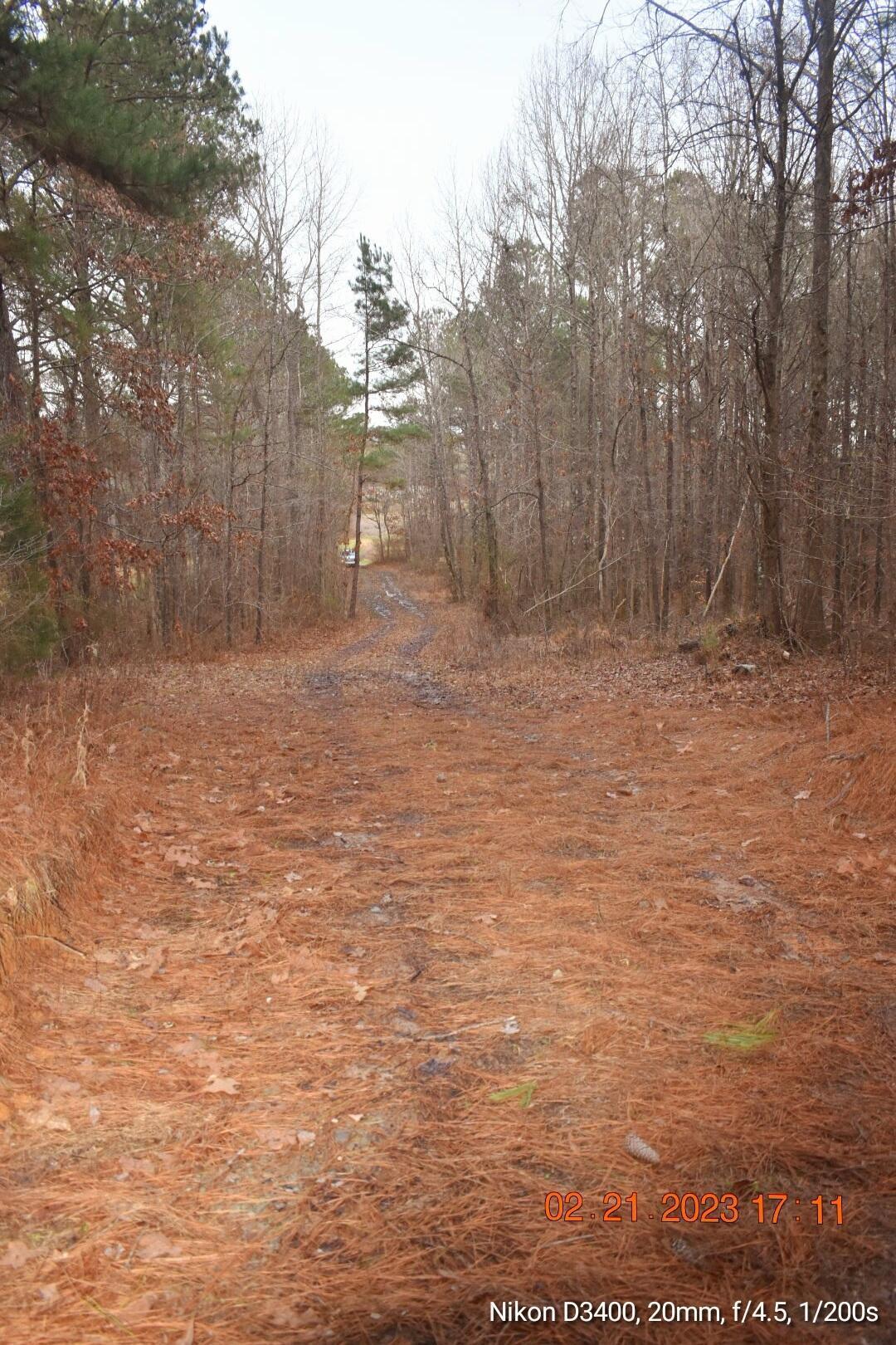 Leonards Chapel Road Carbon Hill, AL 35549 - Photo 25 of 41 Gallery Image 25