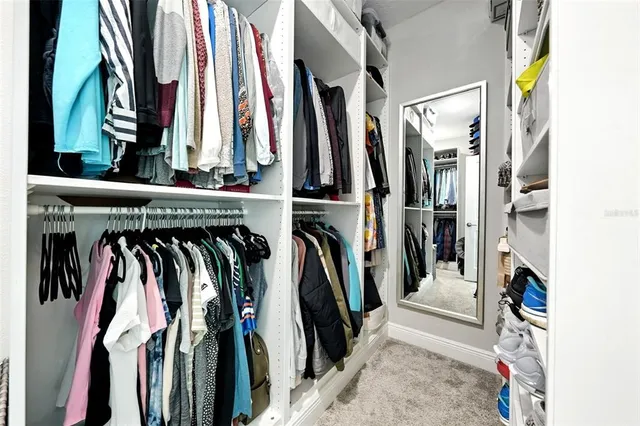 a bathroom with a shower and toilet