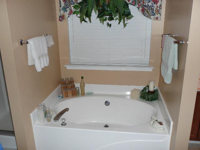 417 Wild Wing Way Easley, SC 29642 - Photo 11 of 15 Gallery Image 11