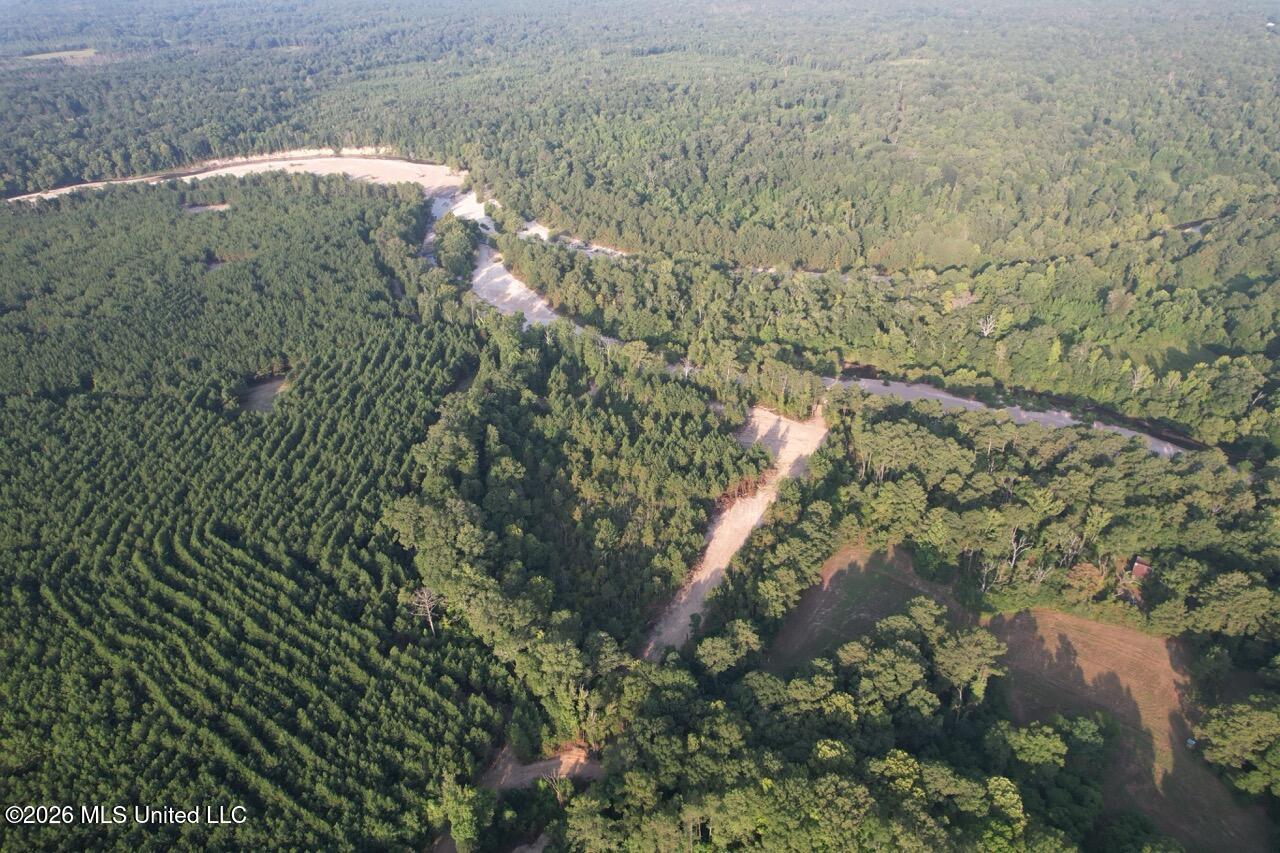5 Old Oldenburg Road Meadville, MS 39653 - Photo 3 of 39 DJI_0869 Large