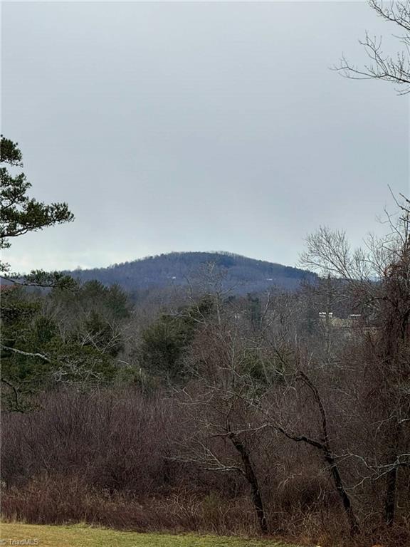 12544 Traphill Road Traphill, NC 28685 - Photo 35 of 50