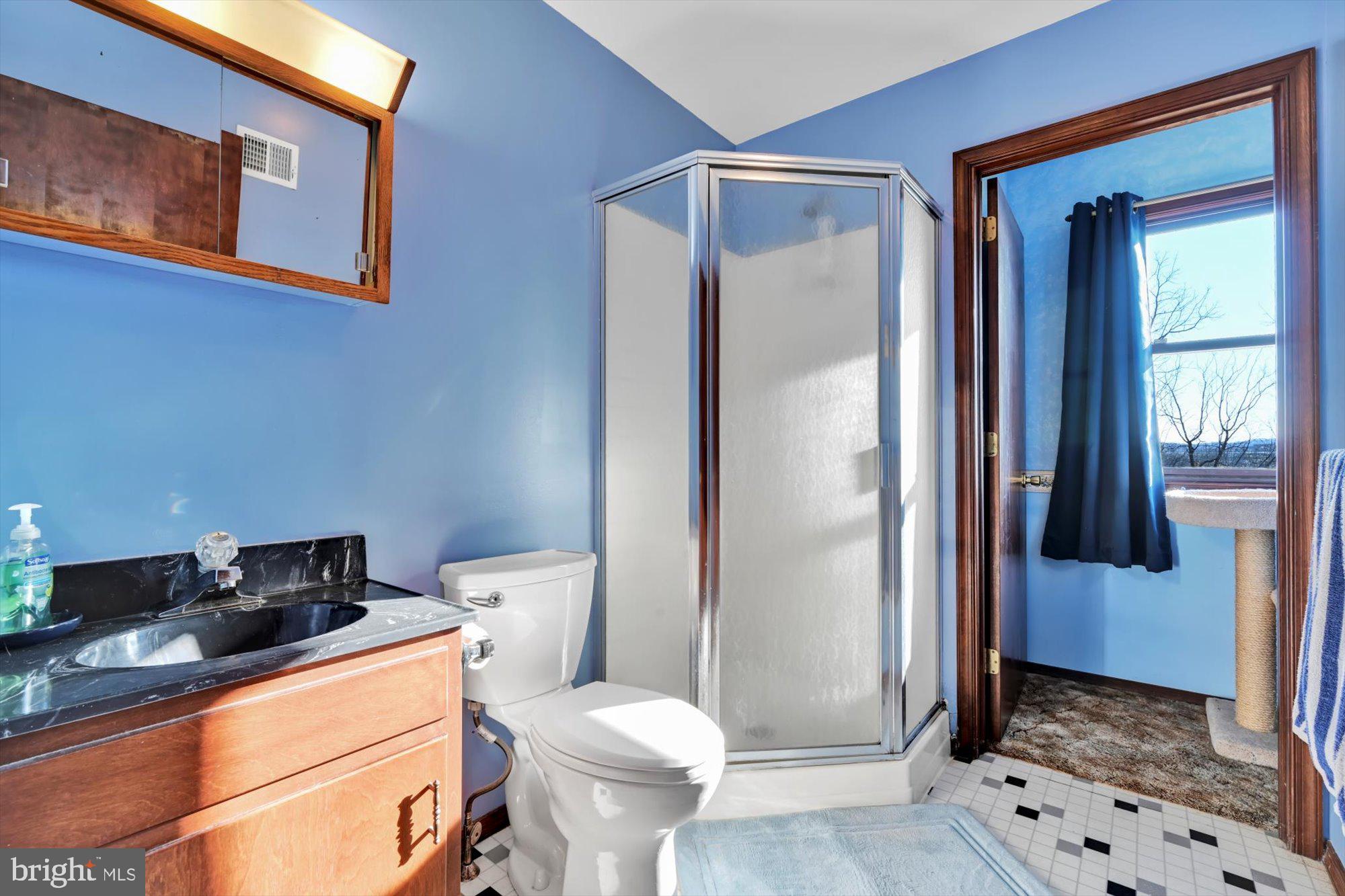 114 Pearl Road Bernville, PA 19506 - Photo 20 of 39 Guest Bath w/Jack&Jill to BR 2 (guests own bath)