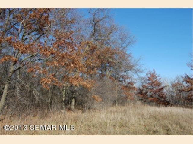 Xx08 60th Avenue Southeast Rochester, MN 55904 - Photo 10 of 18 Gallery Image 10