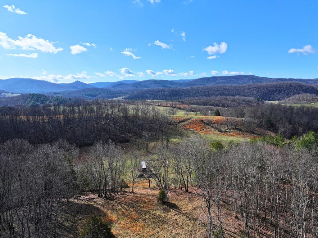 892 Ward Branch Road Crockett, VA 24323 - Photo 24 of 50 Gallery Image 24