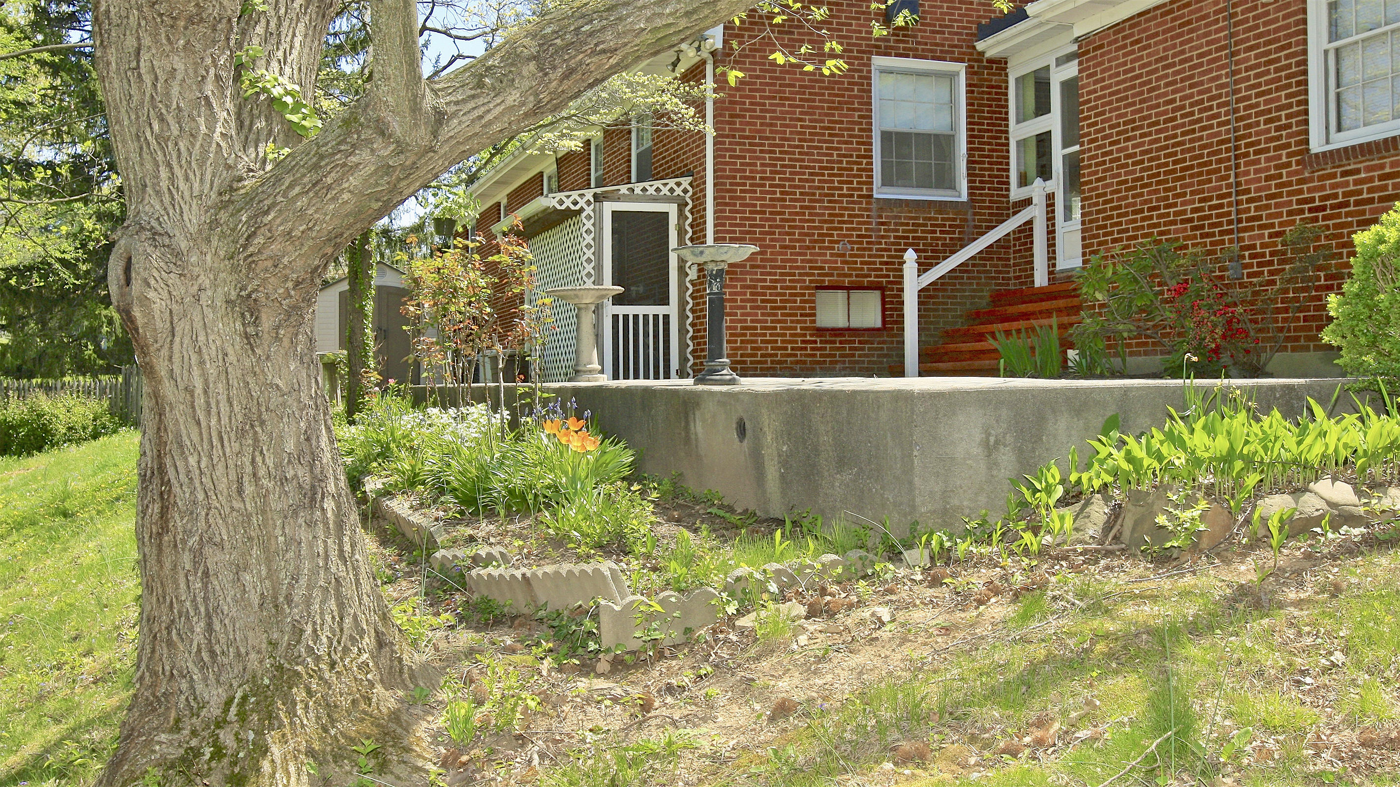 3833 Darlington Road Southwest Roanoke, VA 24018 - Photo 43 of 47 4V4B1395