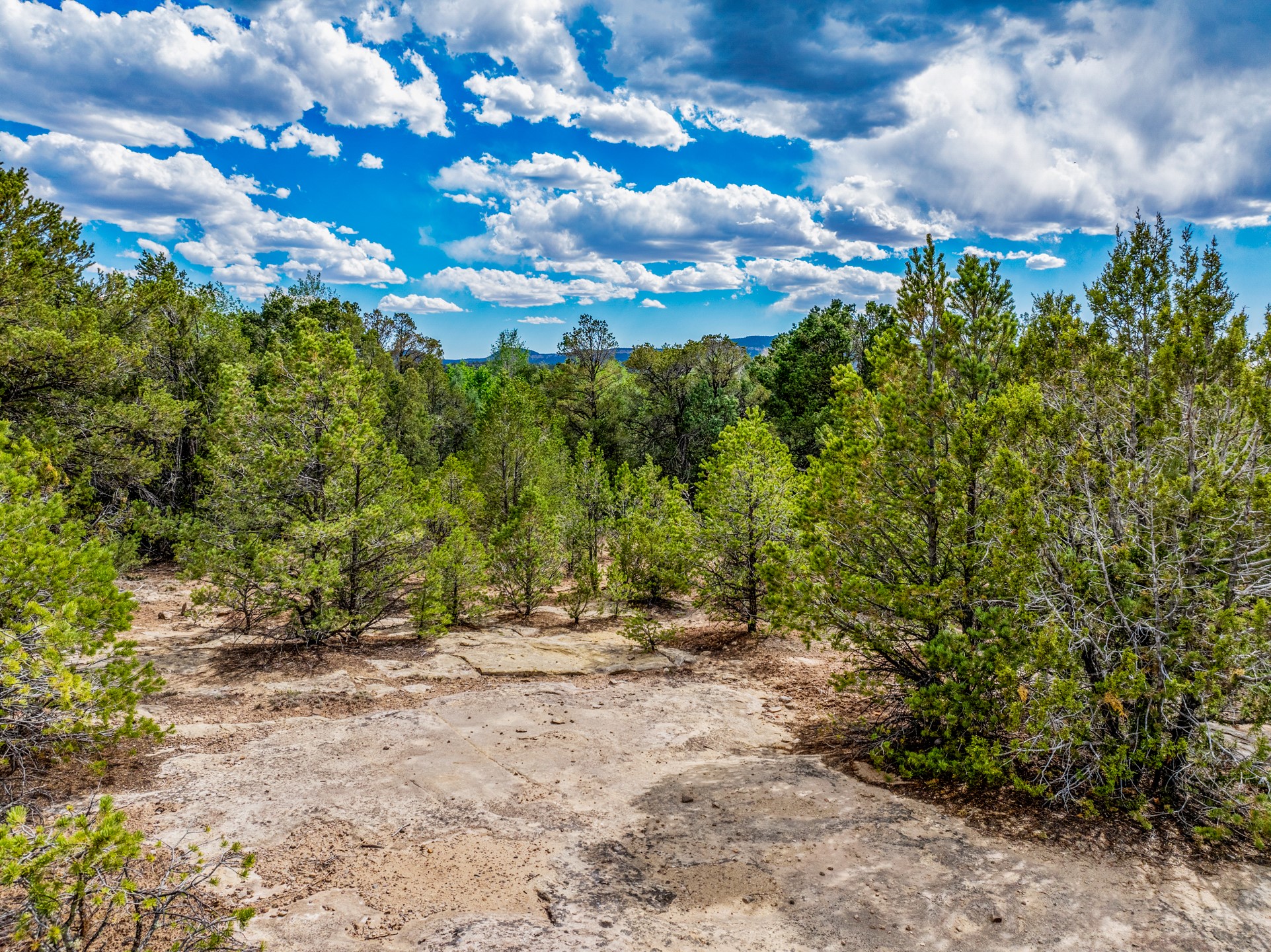 2.38-acres Old Colonias Road Pecos, NM 87552 - Photo 1 of 25