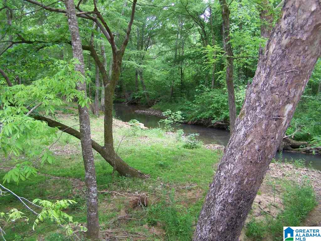 1270 White Plains Road Anniston, AL 36207 - Photo 7 of 44