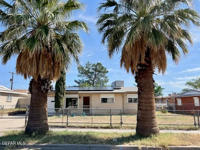 a front view of house with yard and tree