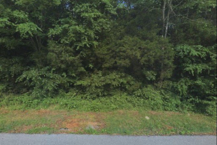 0 Ghee Road Murfreesboro, TN 37127 - Photo 1 of 2 a view of a yard with green space