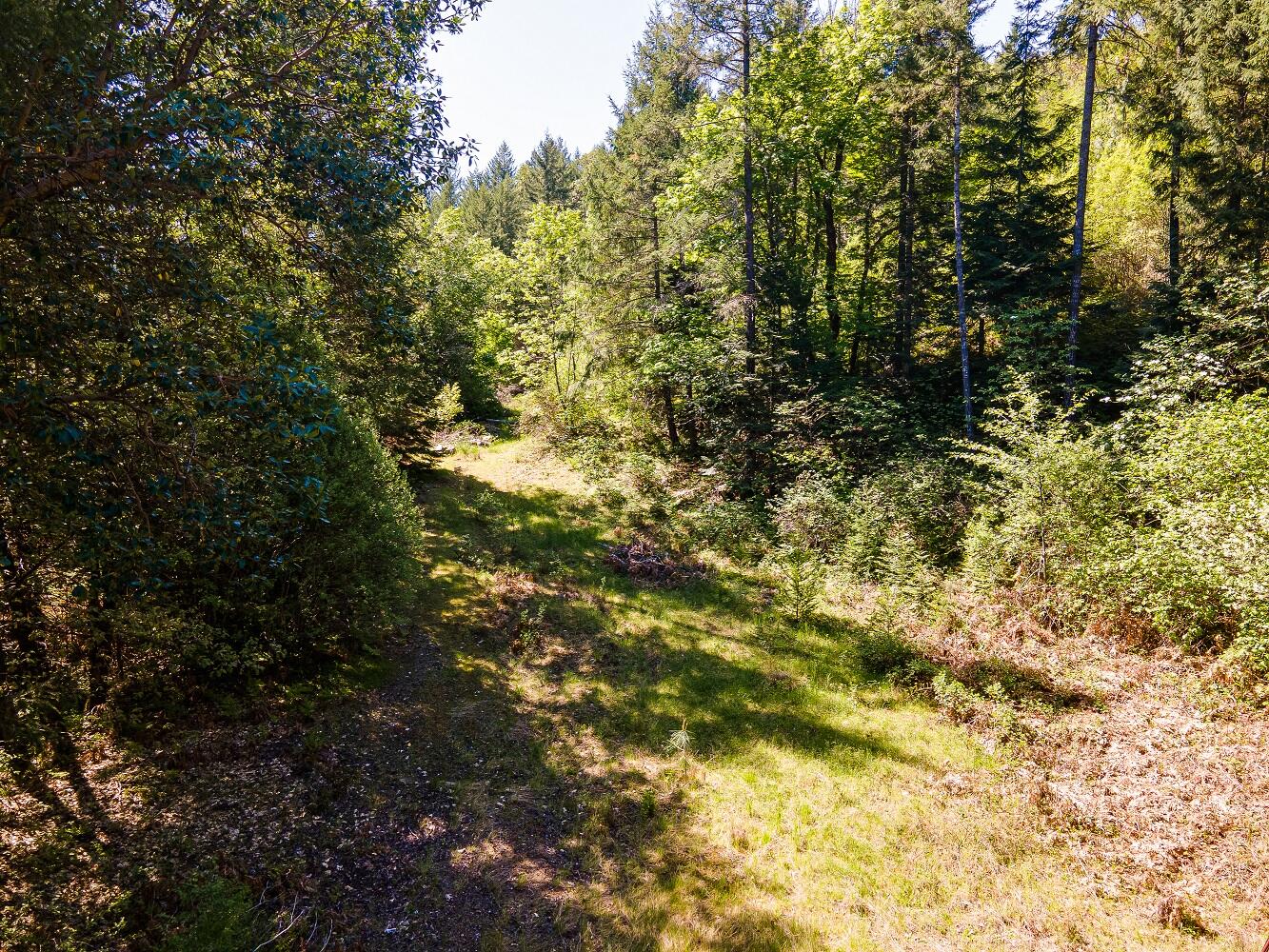 0 Sykes Creek Road Rogue River, OR 97537 - Photo 12 of 16 Gallery Image 12