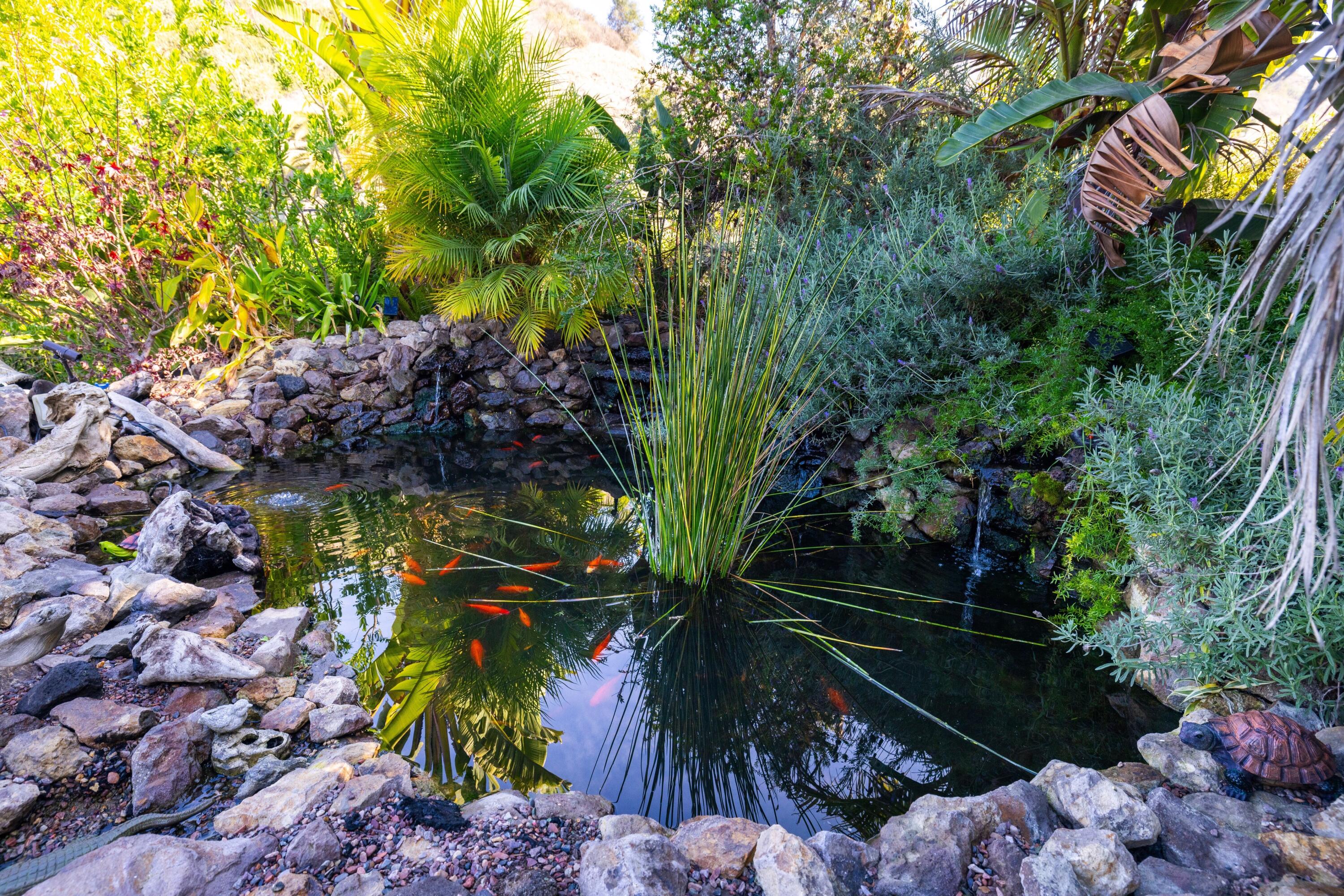 357 Los Cabos Lane Ventura, CA 93001 - Photo 23 of 35 Koi Pond