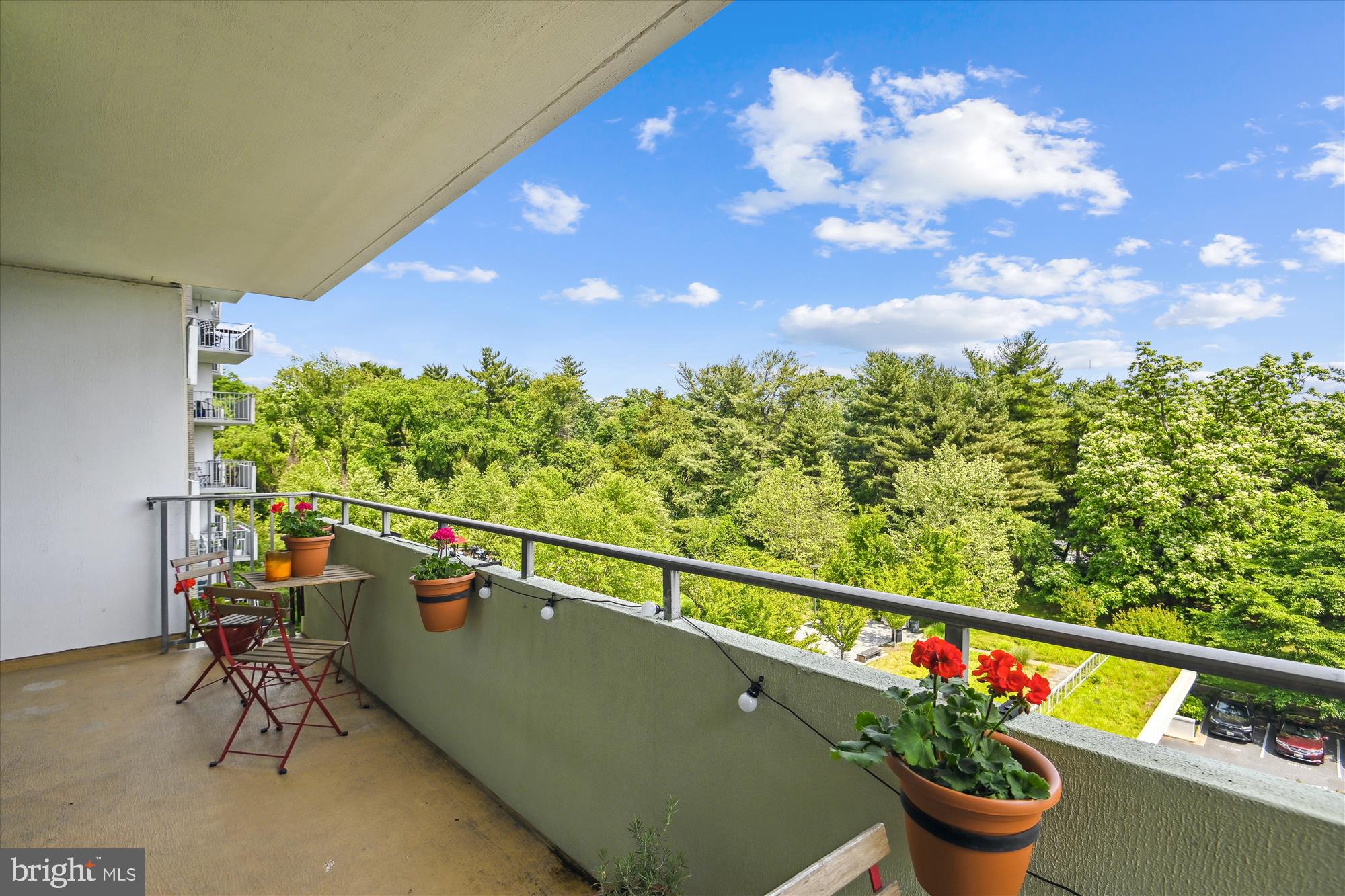 5101 River Road, Unit 602 Bethesda, MD 20816 - Photo 18 of 35 a view of a flower in a balcony