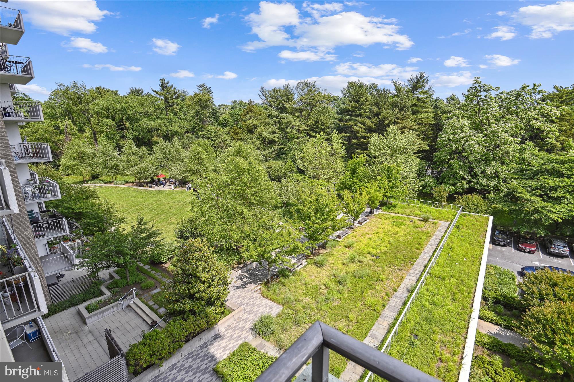 5101 River Road, Unit 602 Bethesda, MD 20816 - Photo 19 of 35 a view of a yard with an trees
