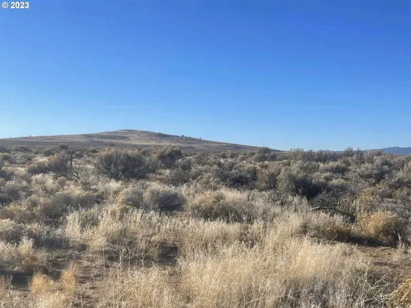 $9,000 | Rockhouse Road, Unit 300, Christmas Valley, OR 97641