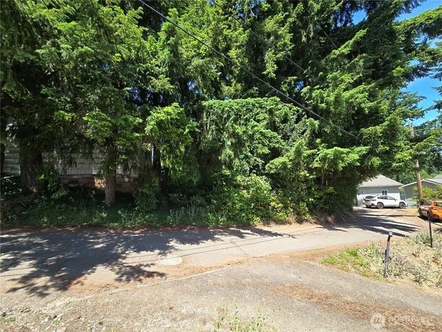 a view of a yard with plants and trees