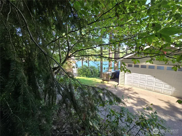 a view of a yard with plants and large trees