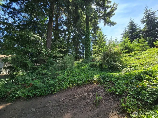 a backyard of a house with lots of green space