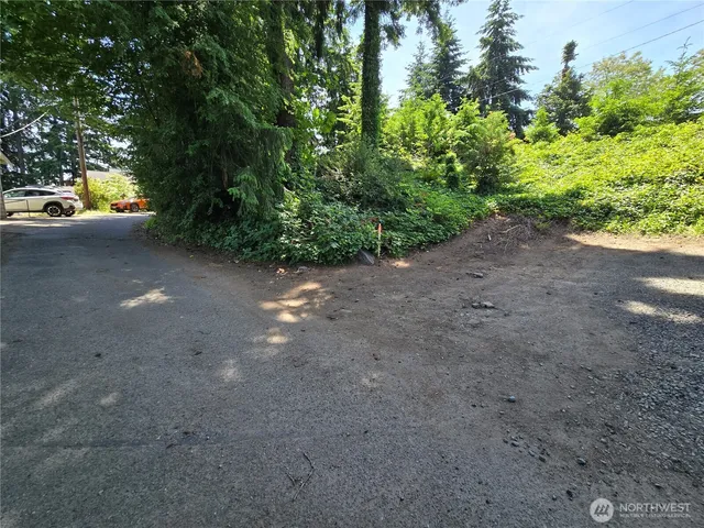 a view of a street with trees and bushes