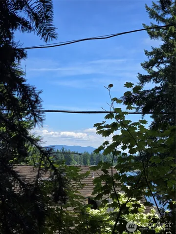 a view of a bunch of flowers