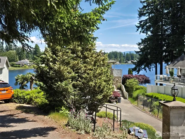 a picture of flowers