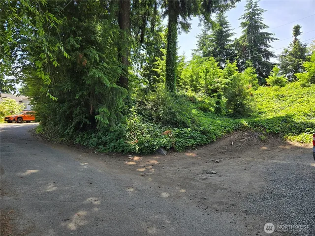 a view of a road with plants and trees