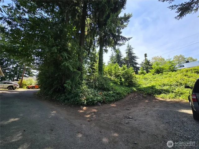 a view of a yard with plants and trees