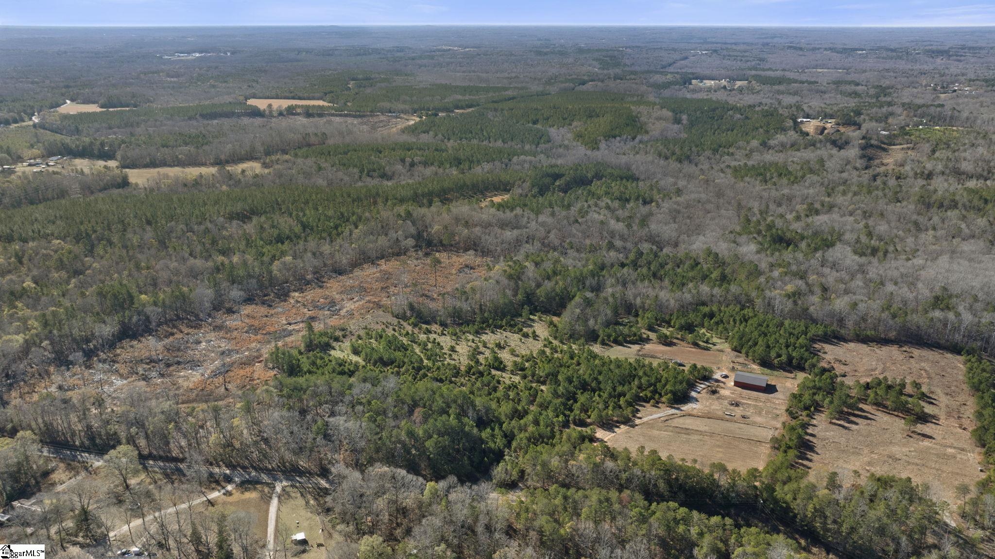 3334 Price House Road Woodruff, SC 29388 - Photo 12 of 28