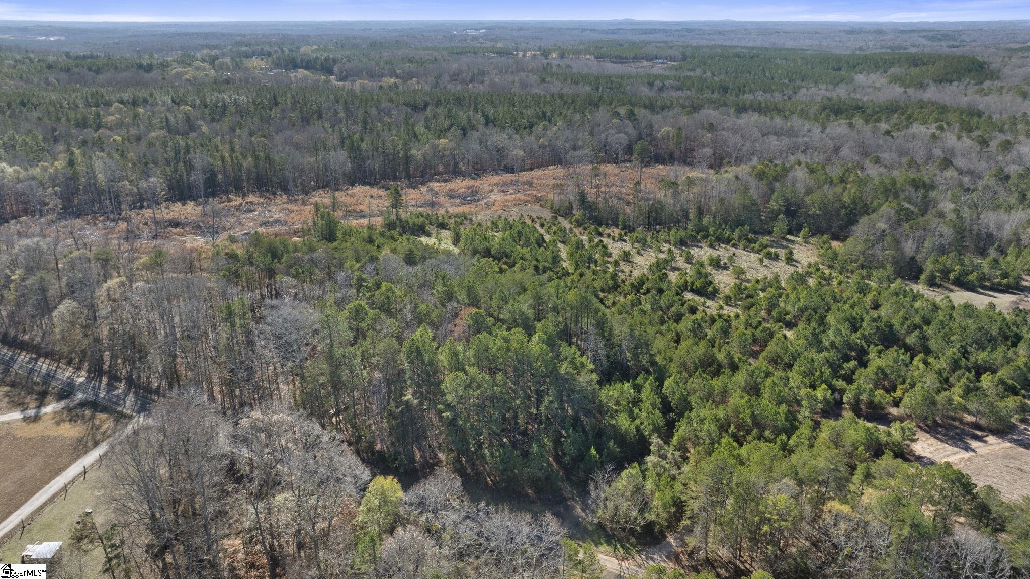 3334 Price House Road Woodruff, SC 29388 - Photo 13 of 28