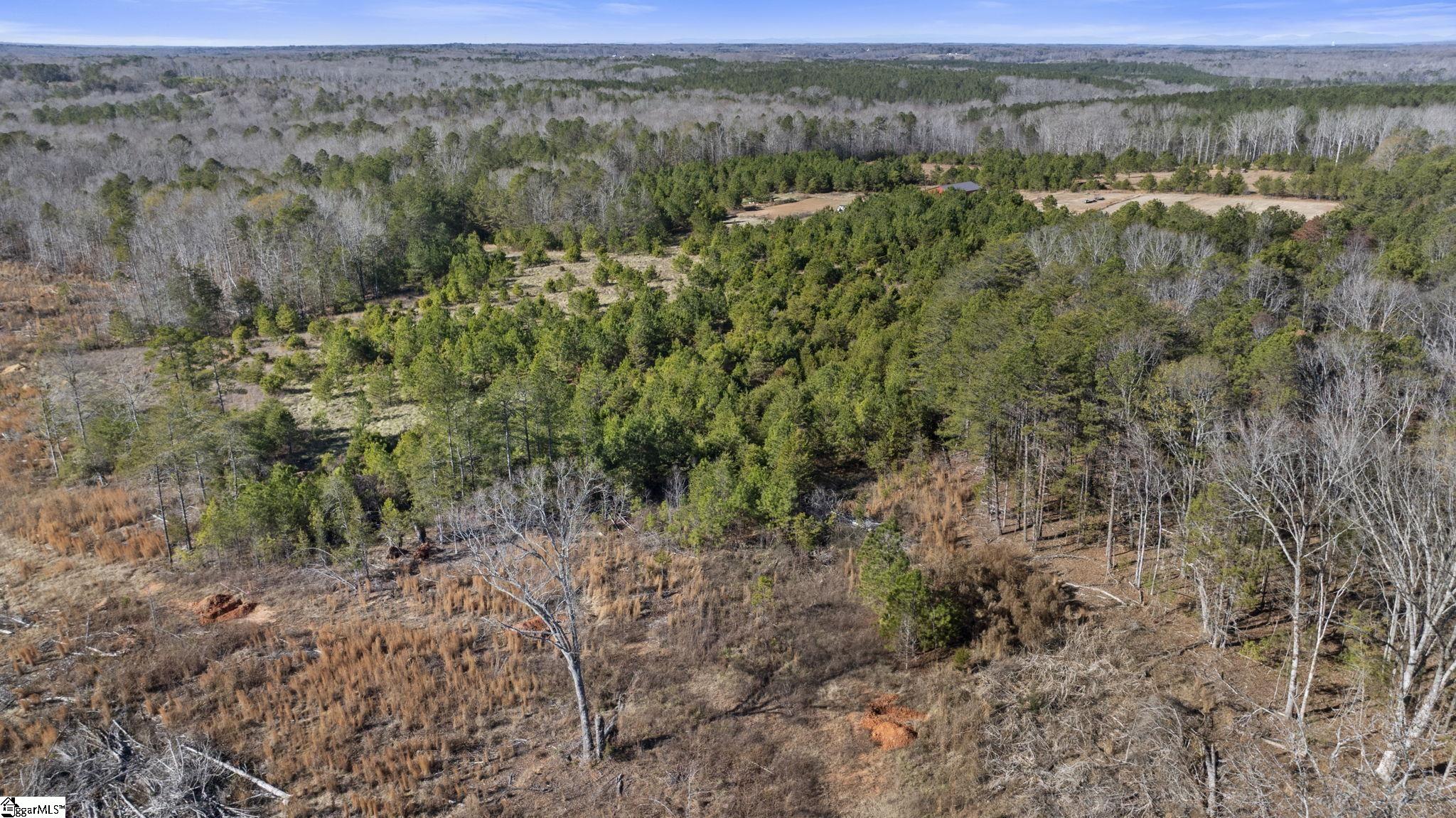 3334 Price House Road Woodruff, SC 29388 - Photo 15 of 28