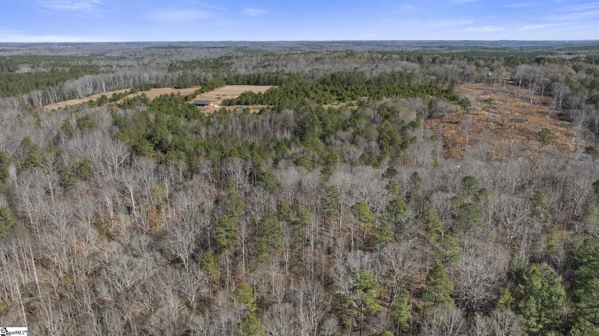 3334 Price House Road Woodruff, SC 29388 - Photo 17 of 28