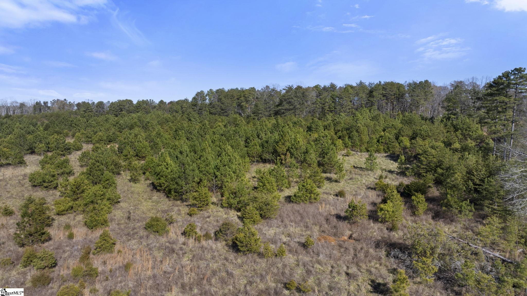 3334 Price House Road Woodruff, SC 29388 - Photo 17 of 28