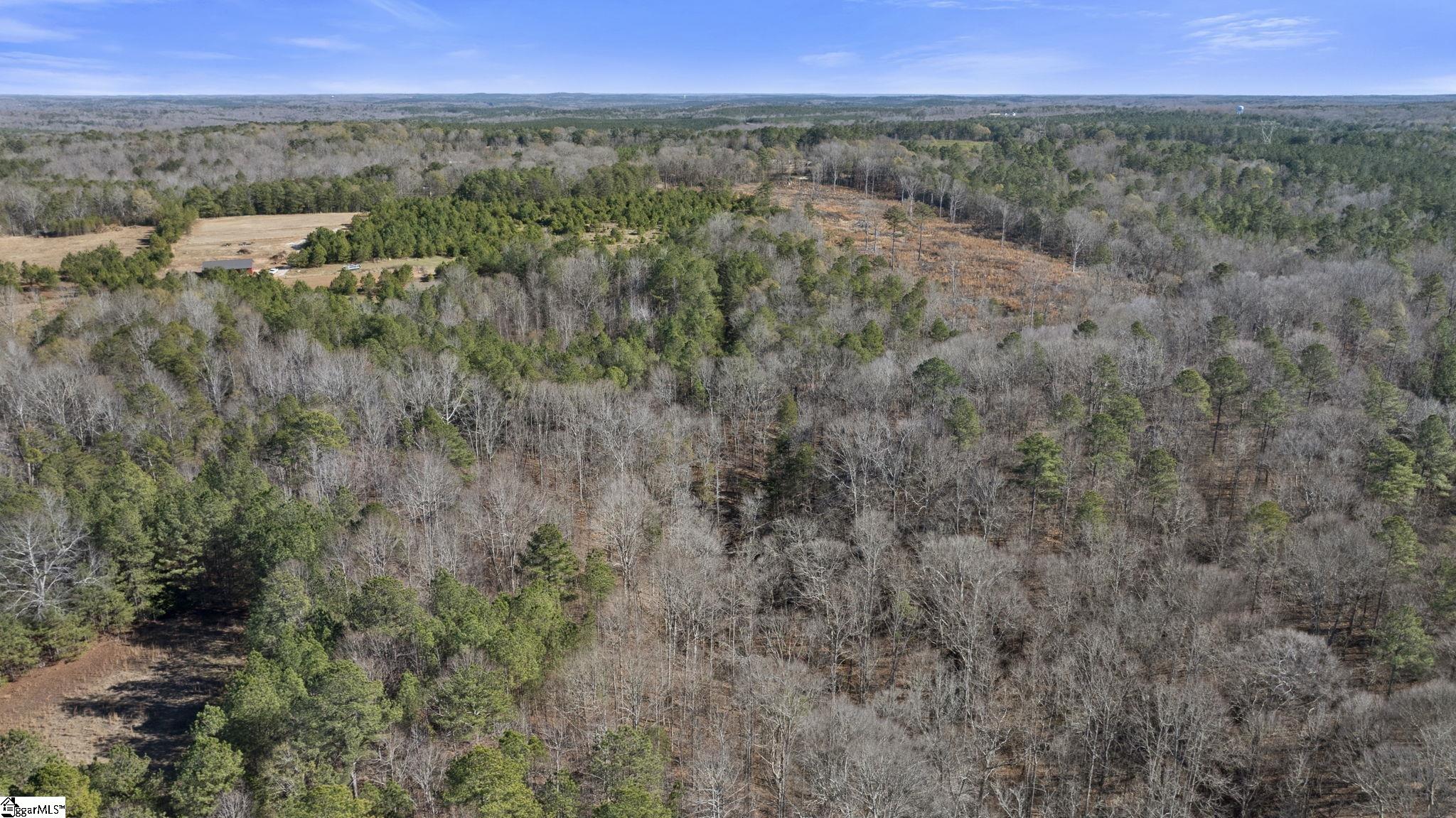 3334 Price House Road Woodruff, SC 29388 - Photo 18 of 28