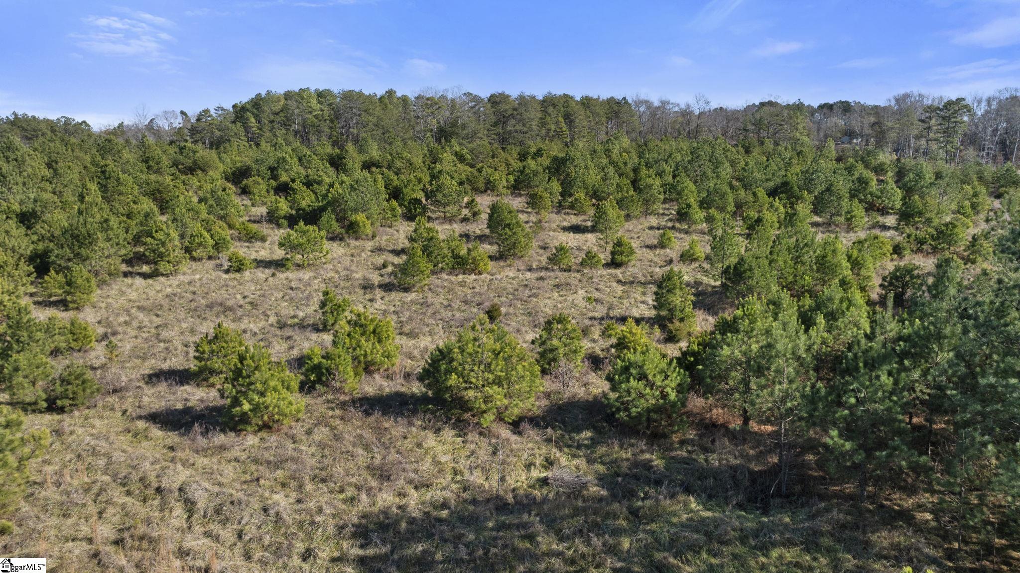 3334 Price House Road Woodruff, SC 29388 - Photo 20 of 28