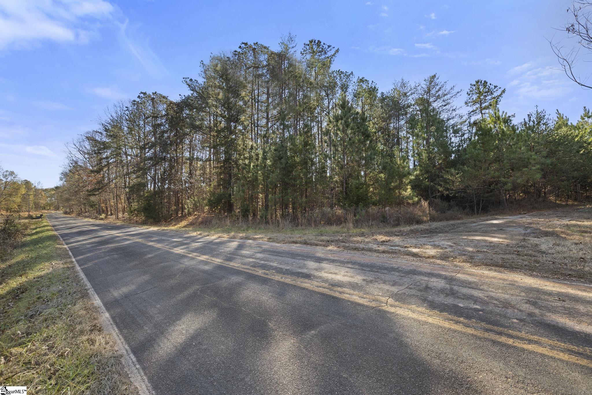 3334 Price House Road Woodruff, SC 29388 - Photo 20 of 28