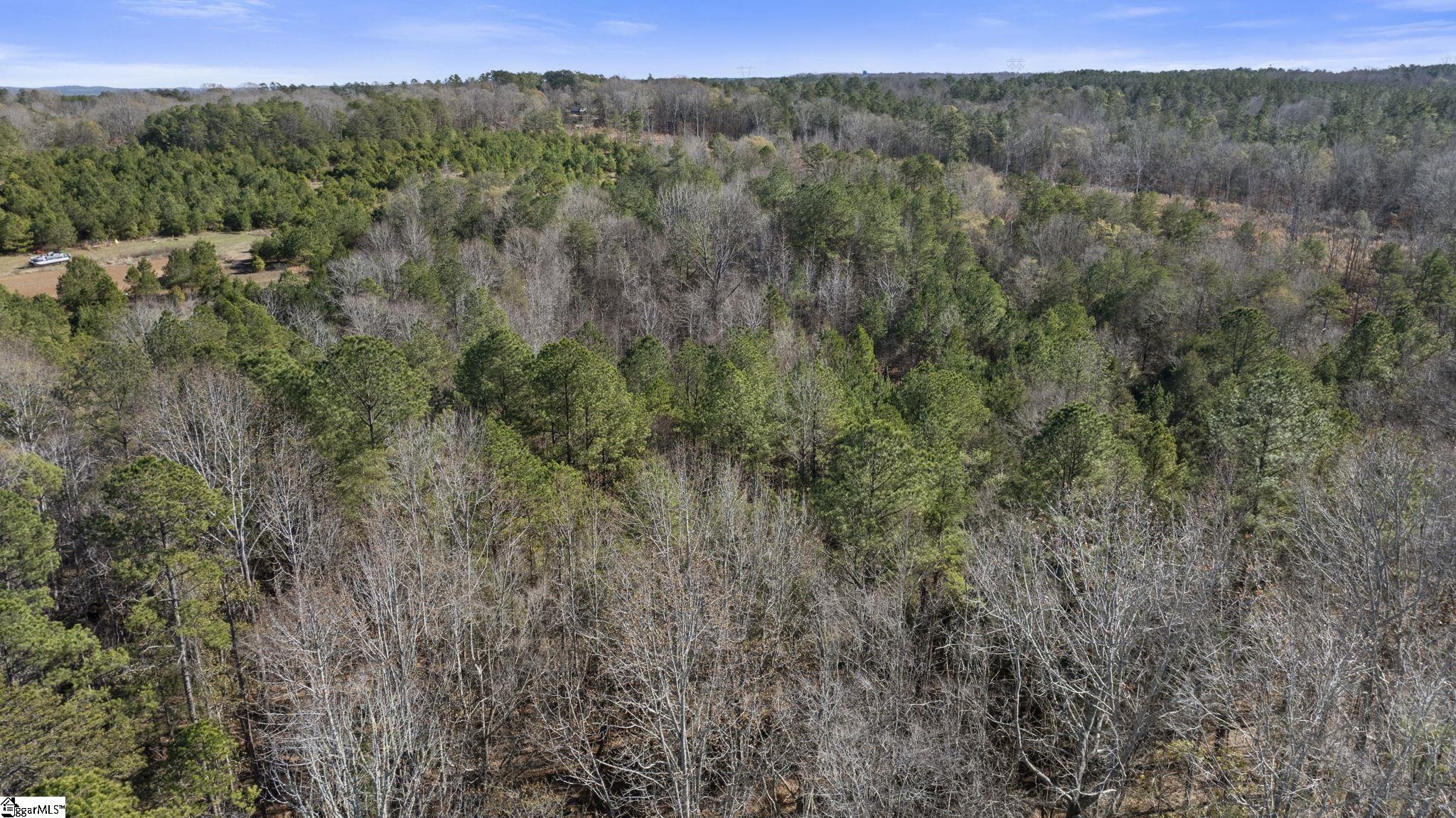 3334 Price House Road Woodruff, SC 29388 - Photo 2 of 28