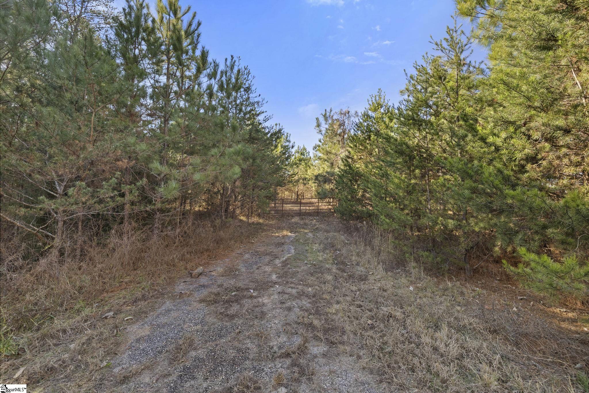 3334 Price House Road Woodruff, SC 29388 - Photo 21 of 28