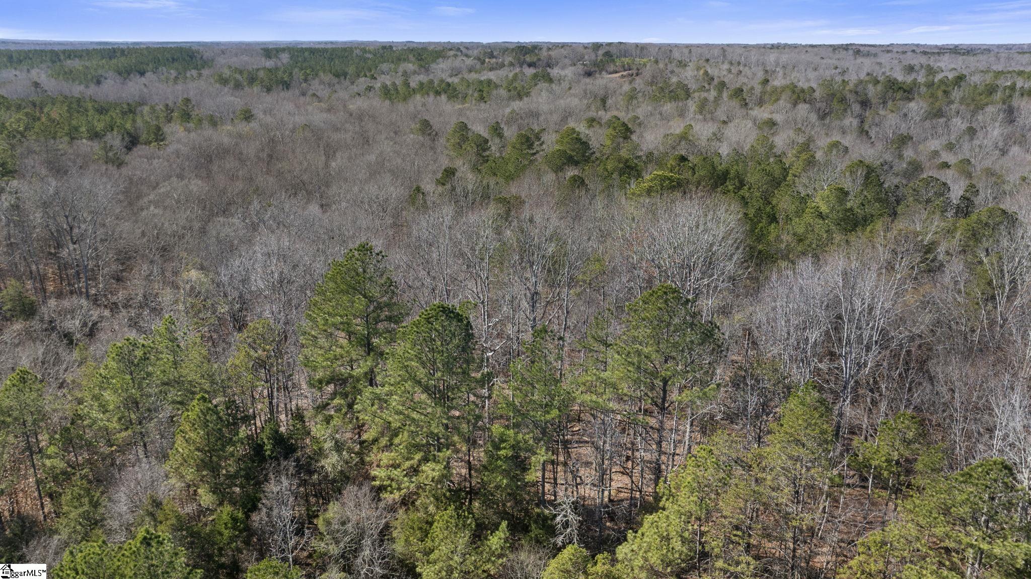 3334 Price House Road Woodruff, SC 29388 - Photo 22 of 28