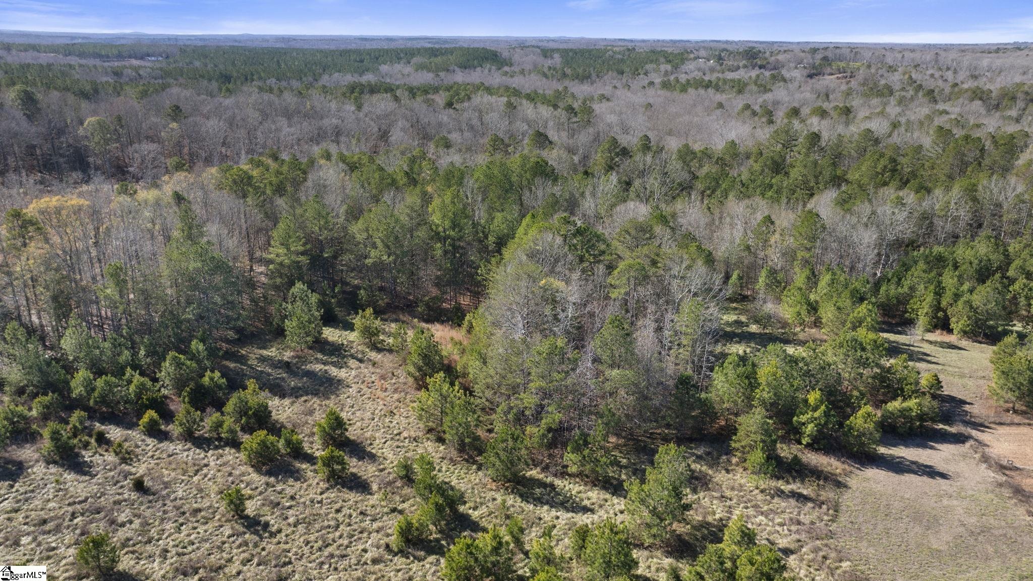 3334 Price House Road Woodruff, SC 29388 - Photo 23 of 28