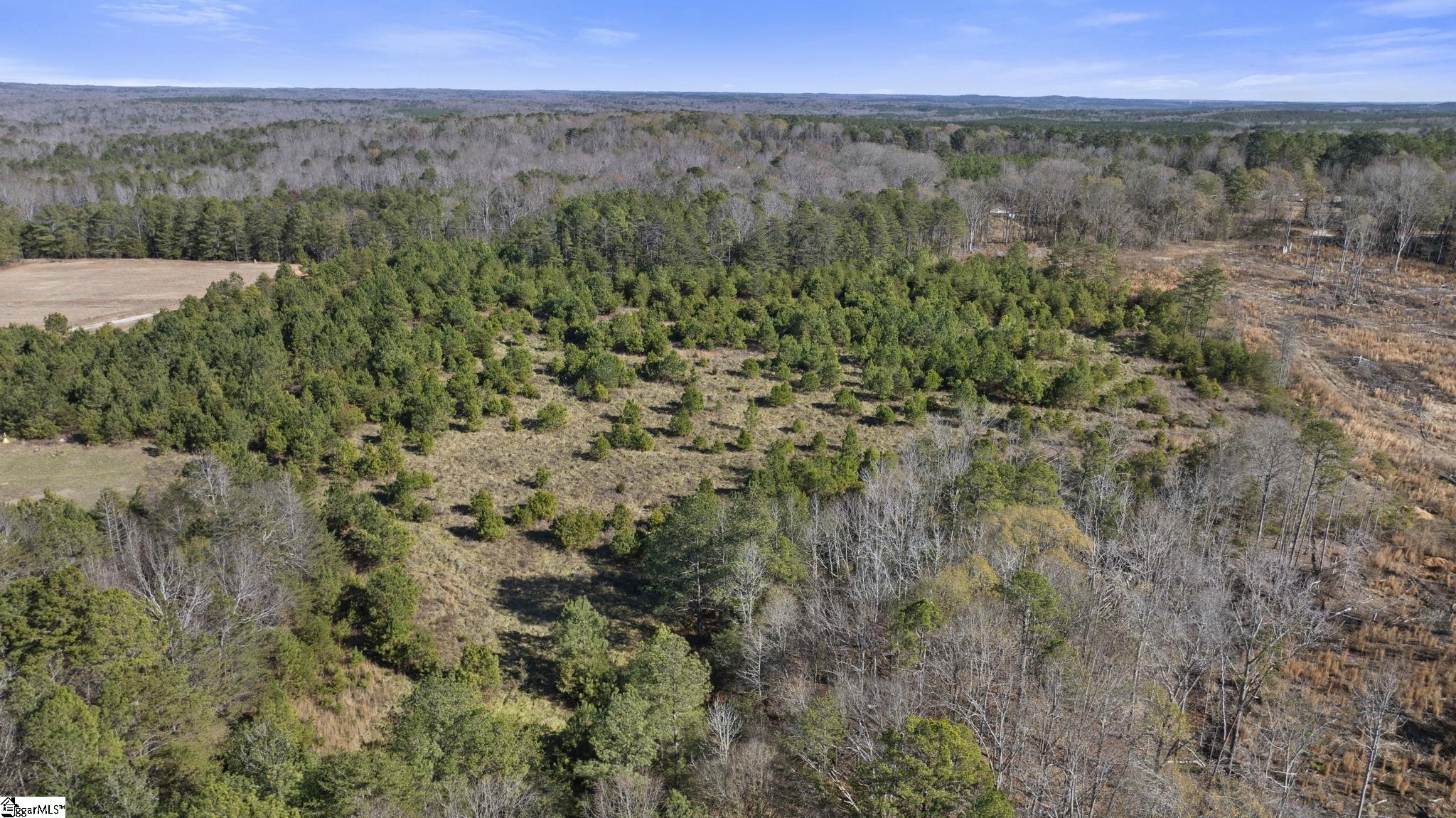 3334 Price House Road Woodruff, SC 29388 - Photo 25 of 28