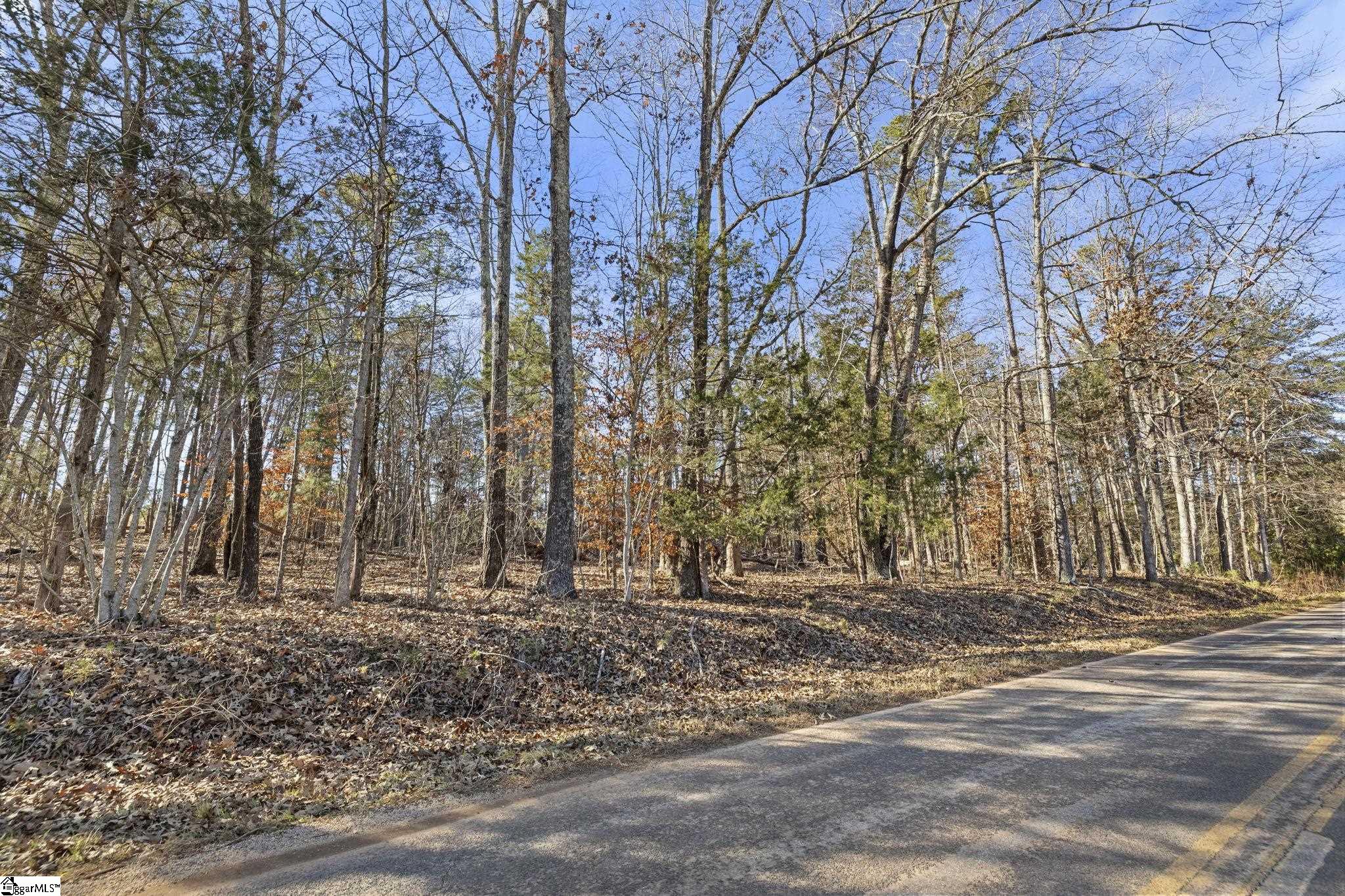 3334 Price House Road Woodruff, SC 29388 - Photo 26 of 28