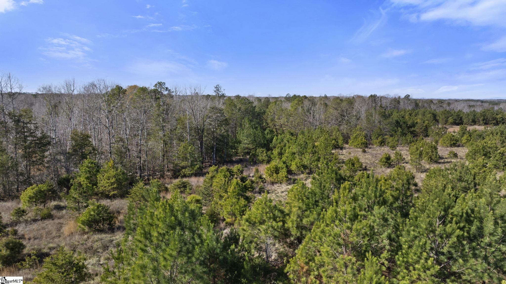 3334 Price House Road Woodruff, SC 29388 - Photo 27 of 28