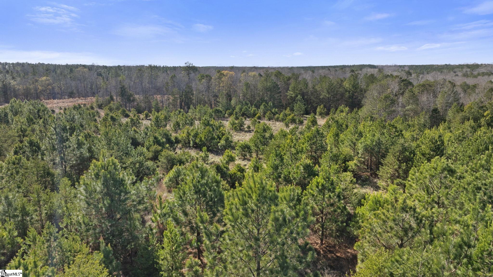 3334 Price House Road Woodruff, SC 29388 - Photo 28 of 28