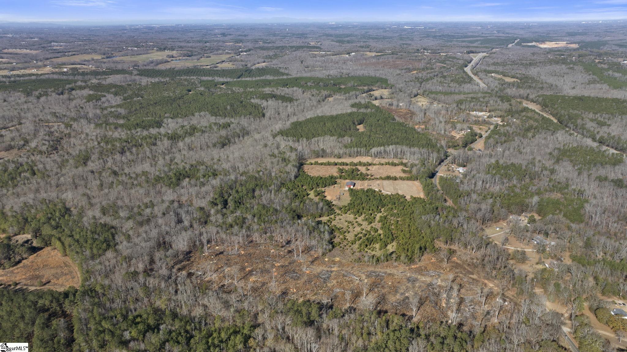 3334 Price House Road Woodruff, SC 29388 - Photo 4 of 28