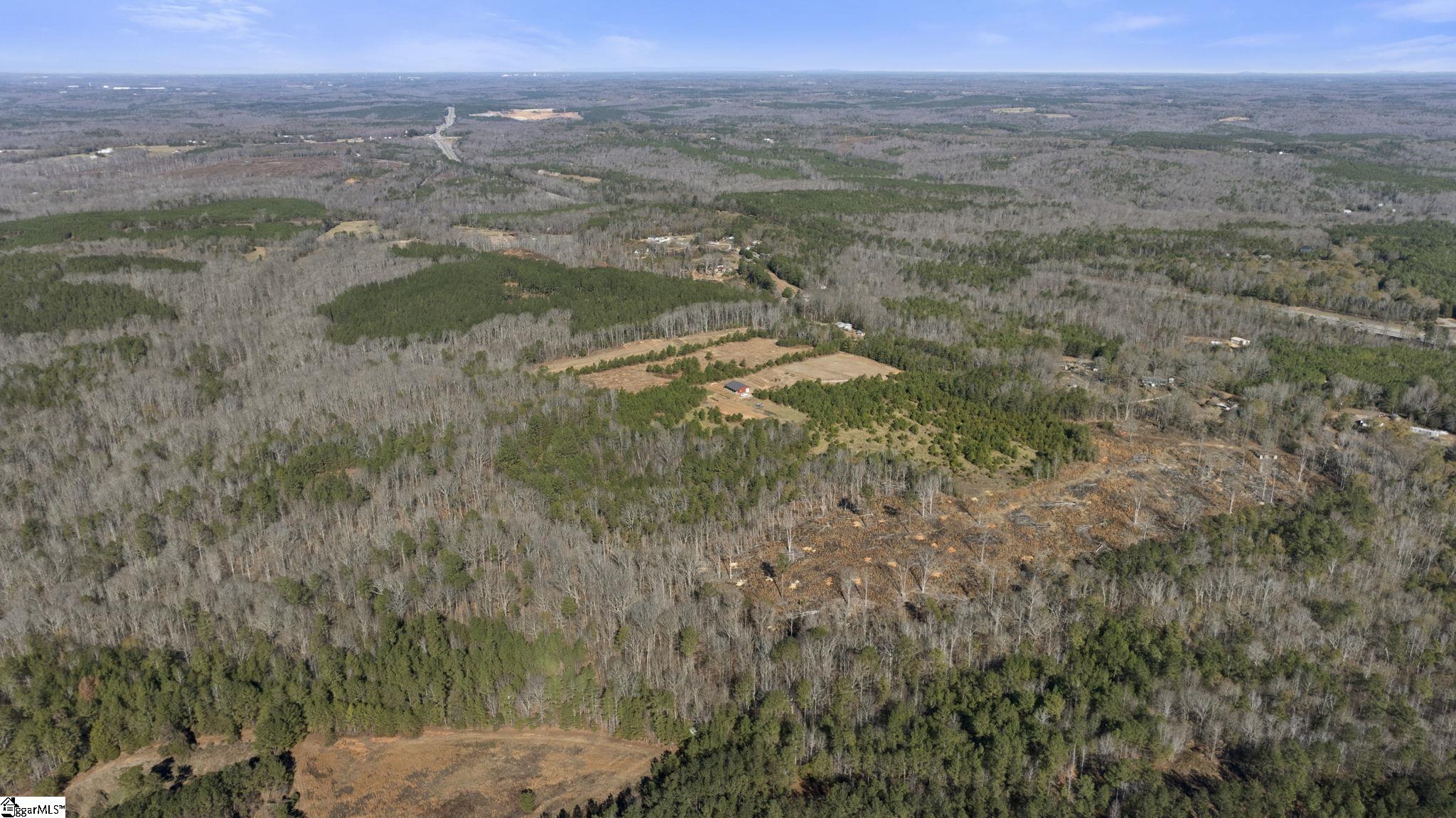 3334 Price House Road Woodruff, SC 29388 - Photo 5 of 28