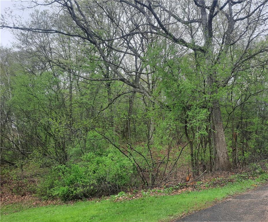 Lot 103 Rye Bluff Road Black River Falls, WI 54615 - Photo 3 of 3