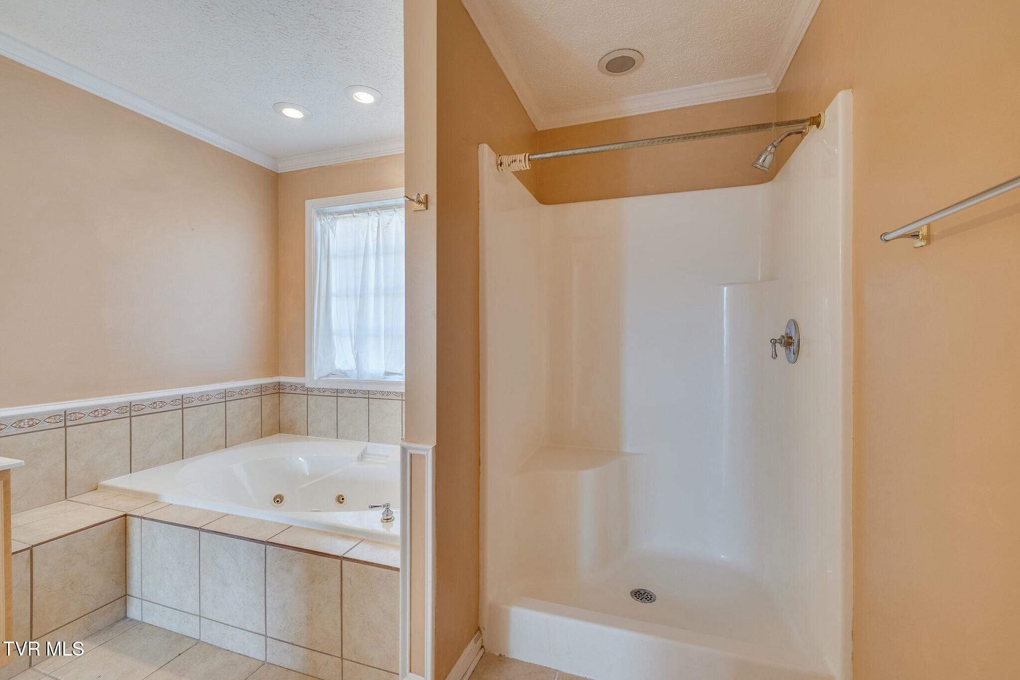 137 Austin Ridge Court Gray, TN 37615 - Photo 28 of 54 tempImagejoIKsw