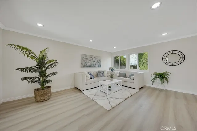 a living room with furniture potted plant and window