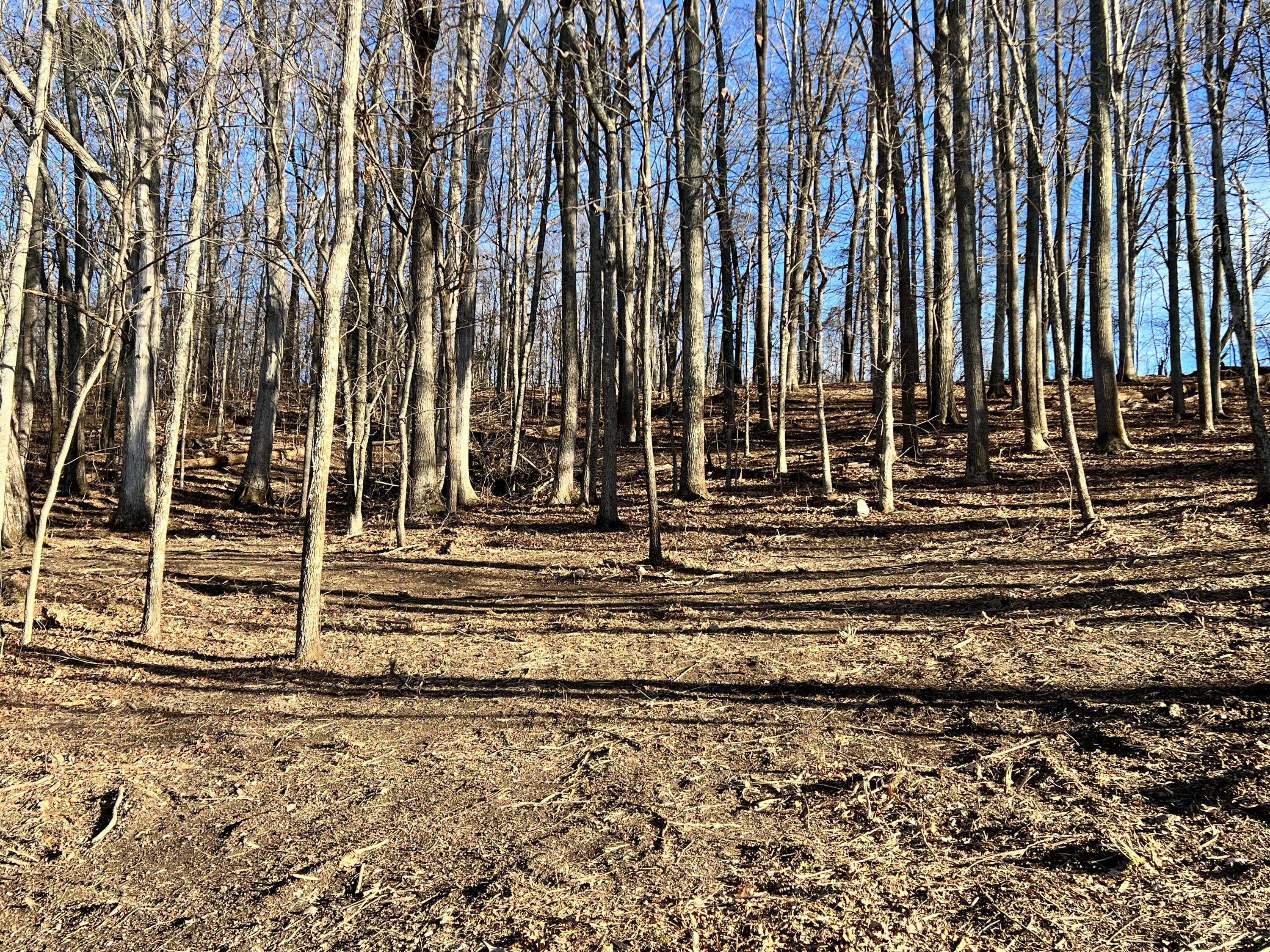 9 Booher Road, Unit 9 Jonesborough, TN 37659 - Photo 1 of 12 5B2A1F82-7083-4683-AB2E-8A9441D11DC7