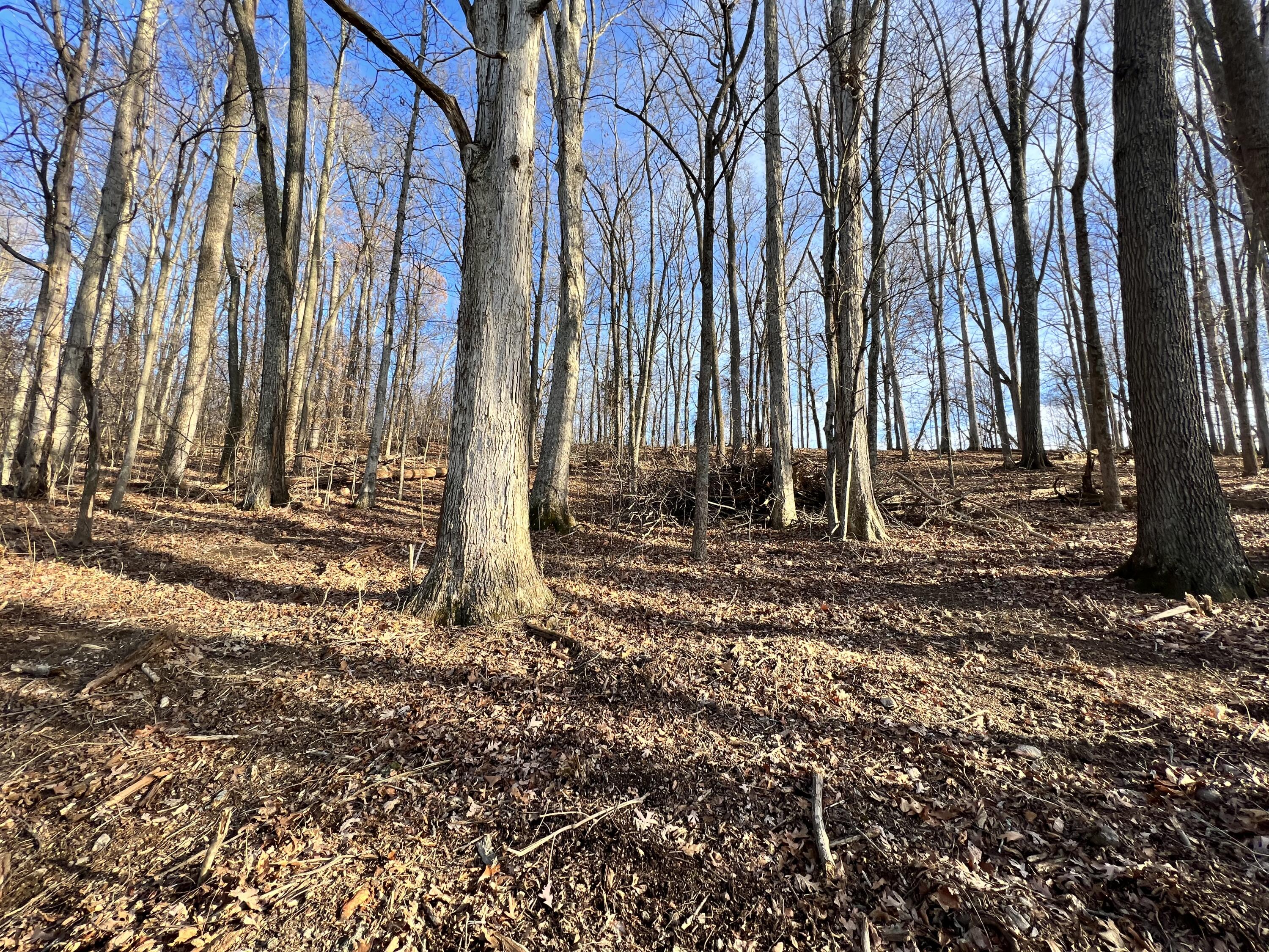 9 Booher Road, Unit 9 Jonesborough, TN 37659 - Photo 11 of 12 B6BADEA2-3158-47E7-8582-7EAAEBB1D751